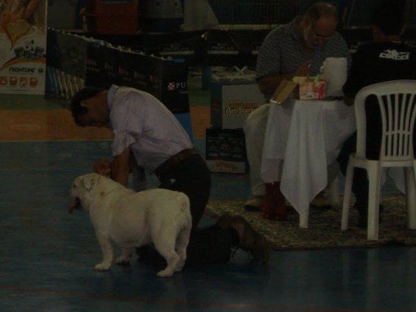 Clique sobre a foto para fechar